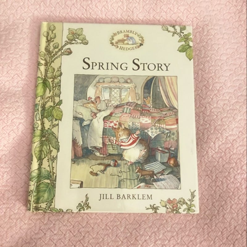 Spring Story (Brambly Hedge)