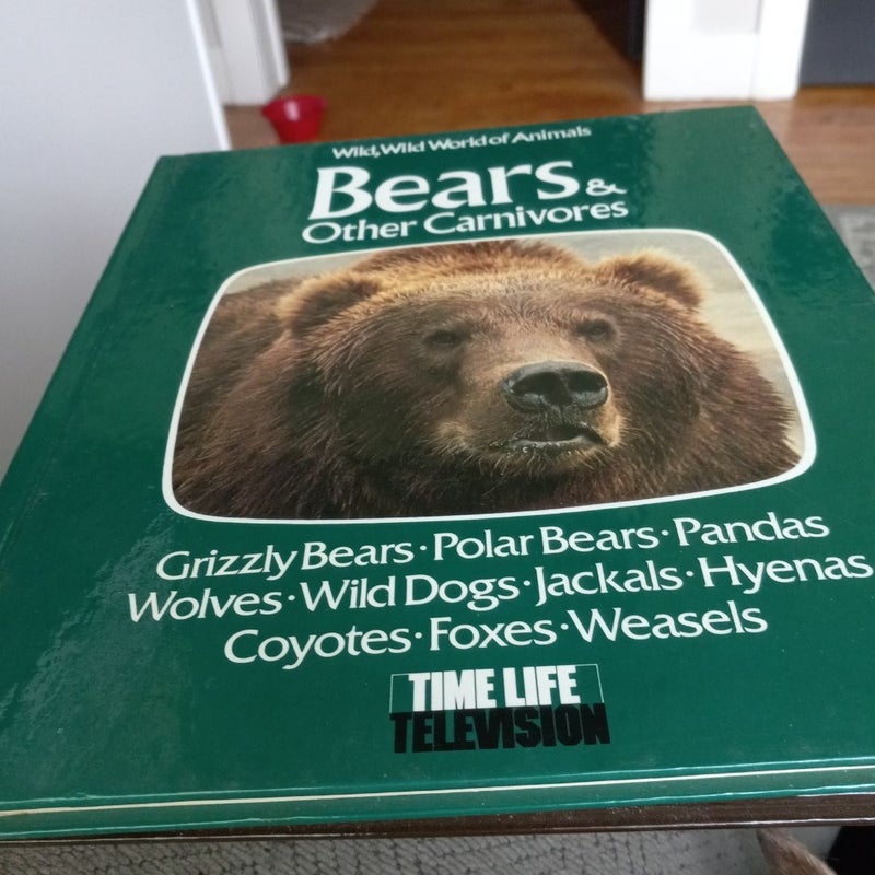 Bears and other carnivores