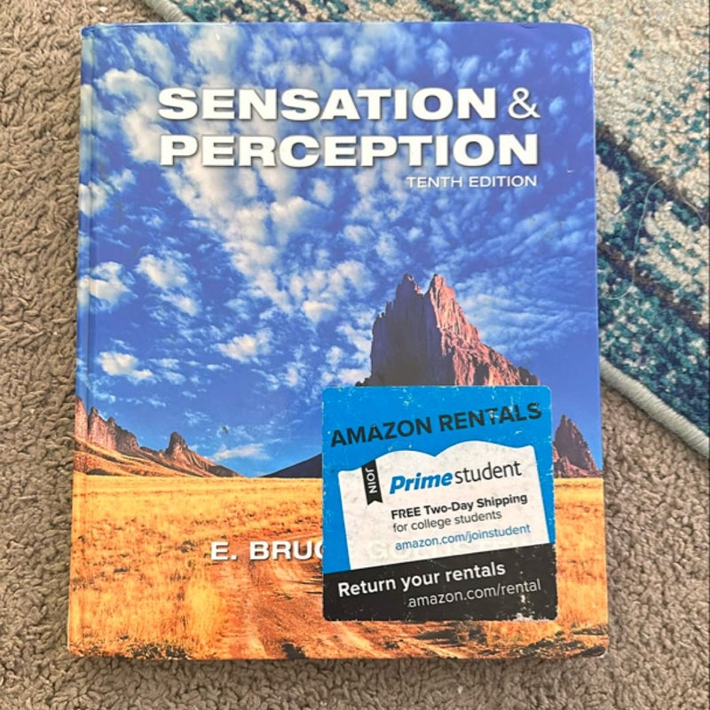 Sensation and Perception