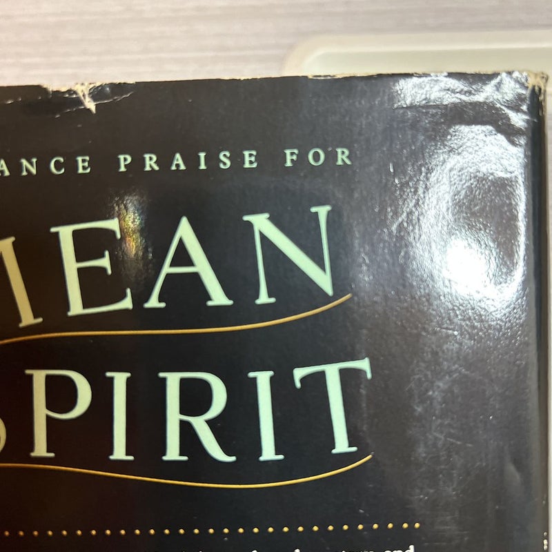 Mean Spirit