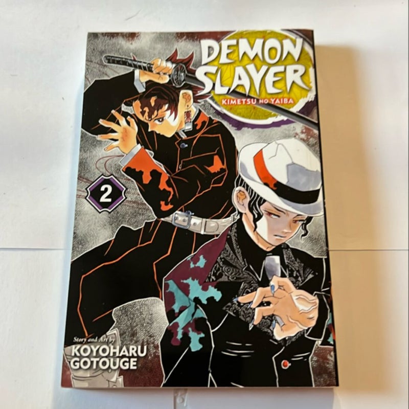 Demon Slayer: Kimetsu No Yaiba, Vol. 2