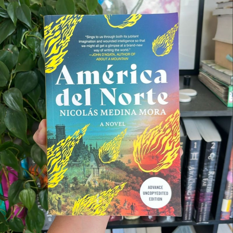 AMÉRICA DEL NORTE