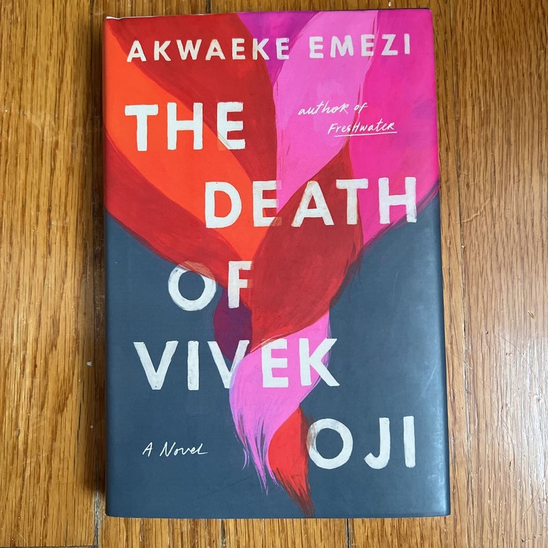 The Death of Vivek Oji