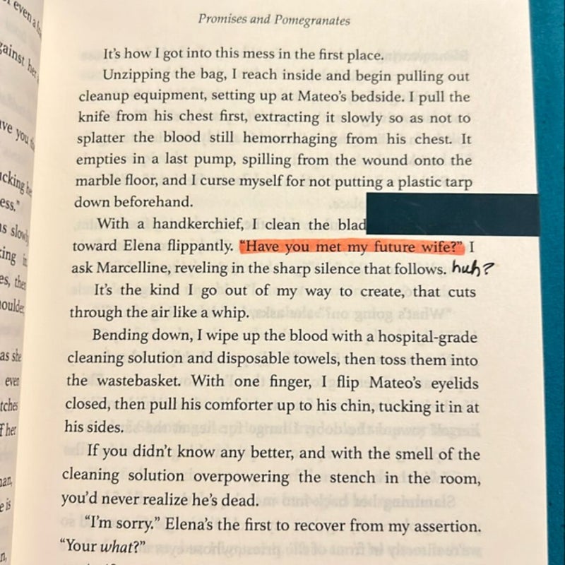 Promises & Pomegranates (annotated)