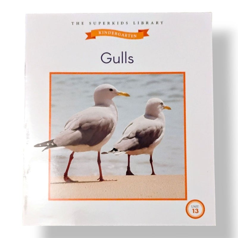 Meet the SuperKids Gulls Unit 13 Kindergarten Beginning Books Library