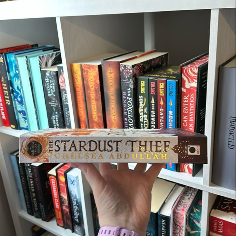 The Stardust Thief