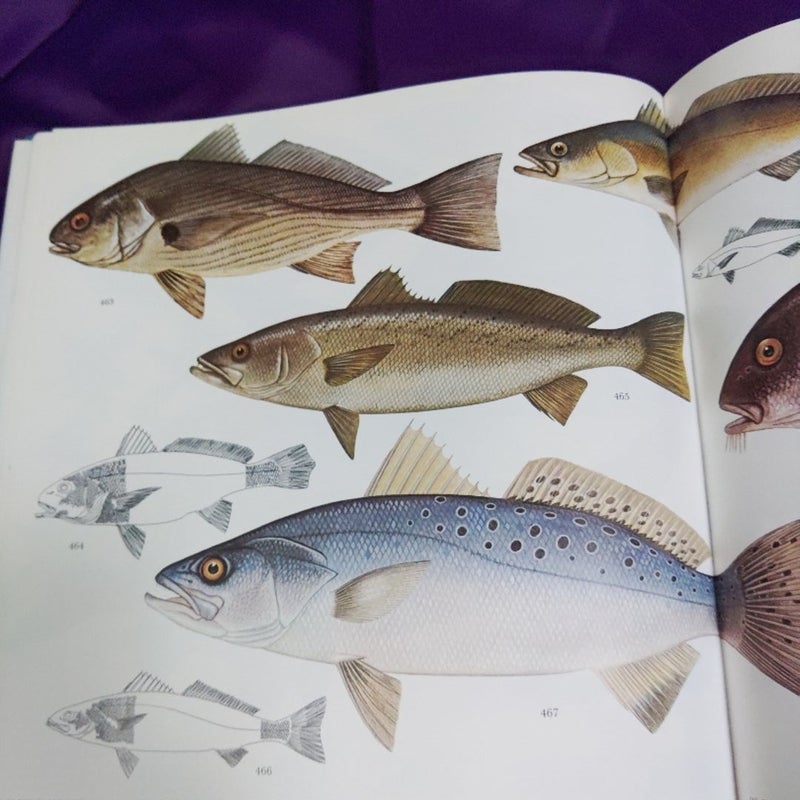Lore of Sportfishing, 1993, 10th Edition 