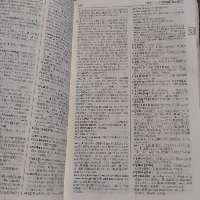 Kenkyusha's New College Jap/Eng Dictionary
