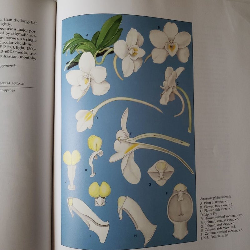 An Illustrated Survey of Orchid Genera