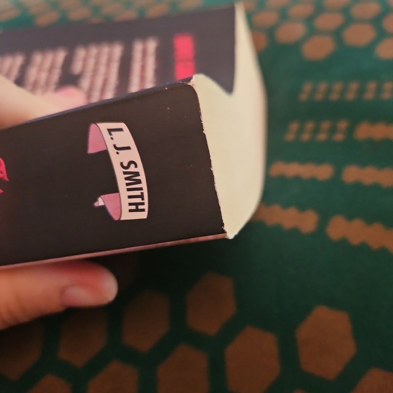 The Vampire Diaries: the Fury and Dark Reunion