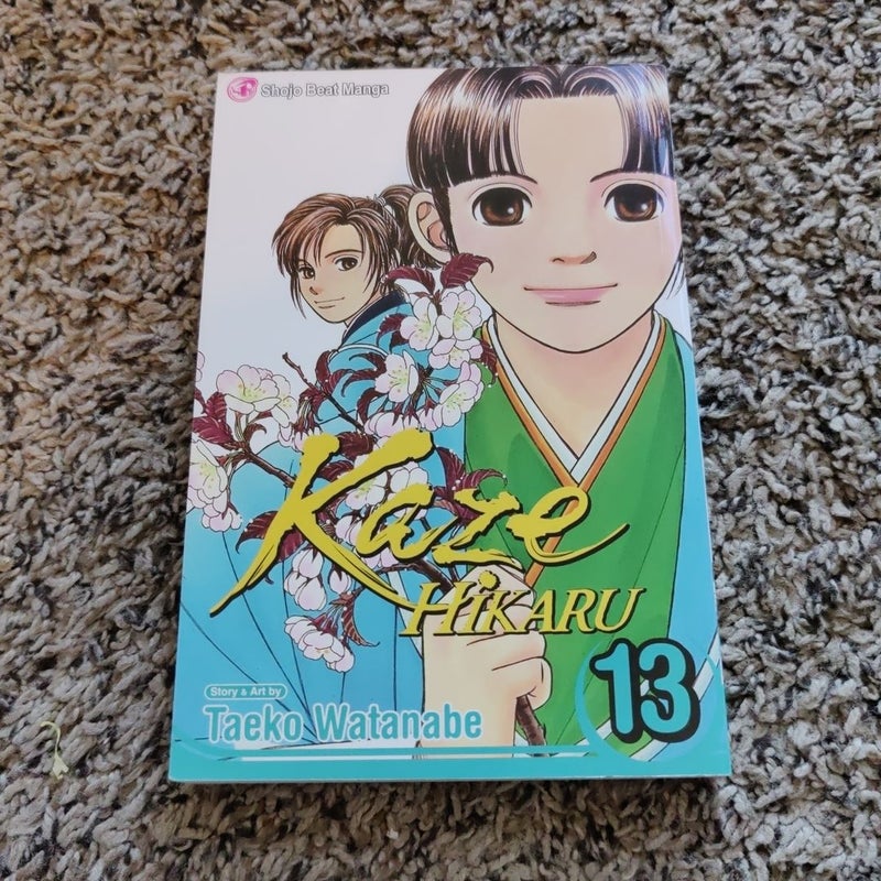 Kaze Hikaru, Vol. 13