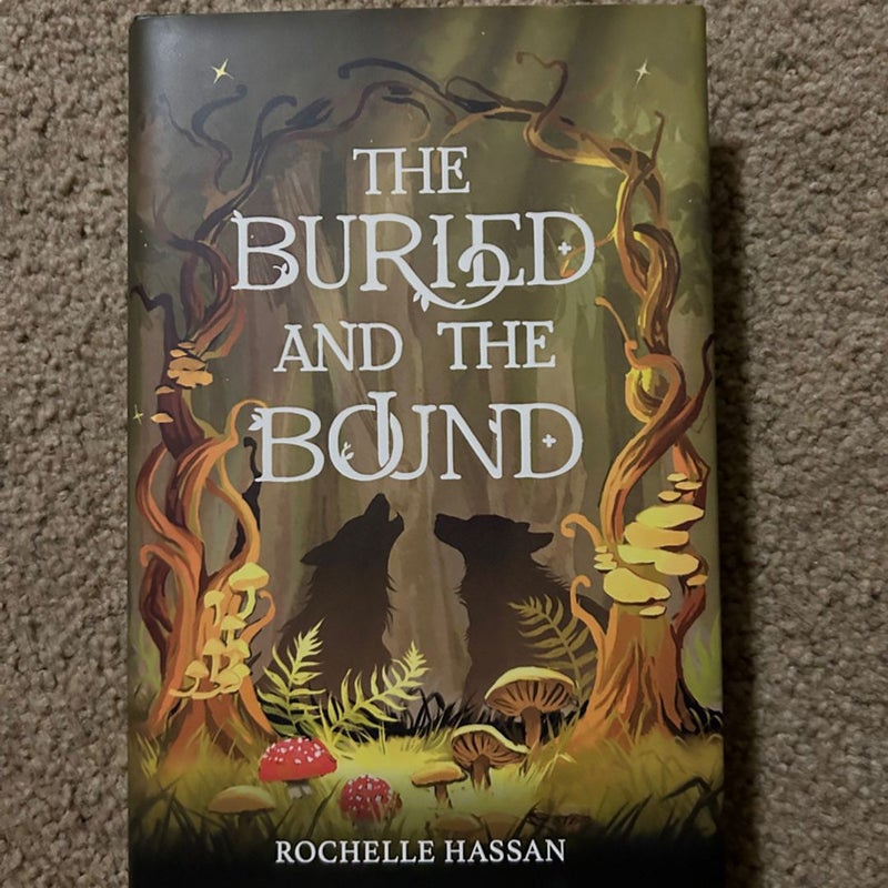 The Buried and the Bound by Rochelle Hassan