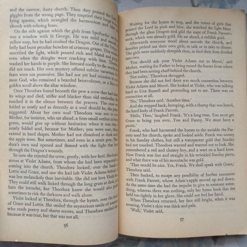 The Aunt's Story