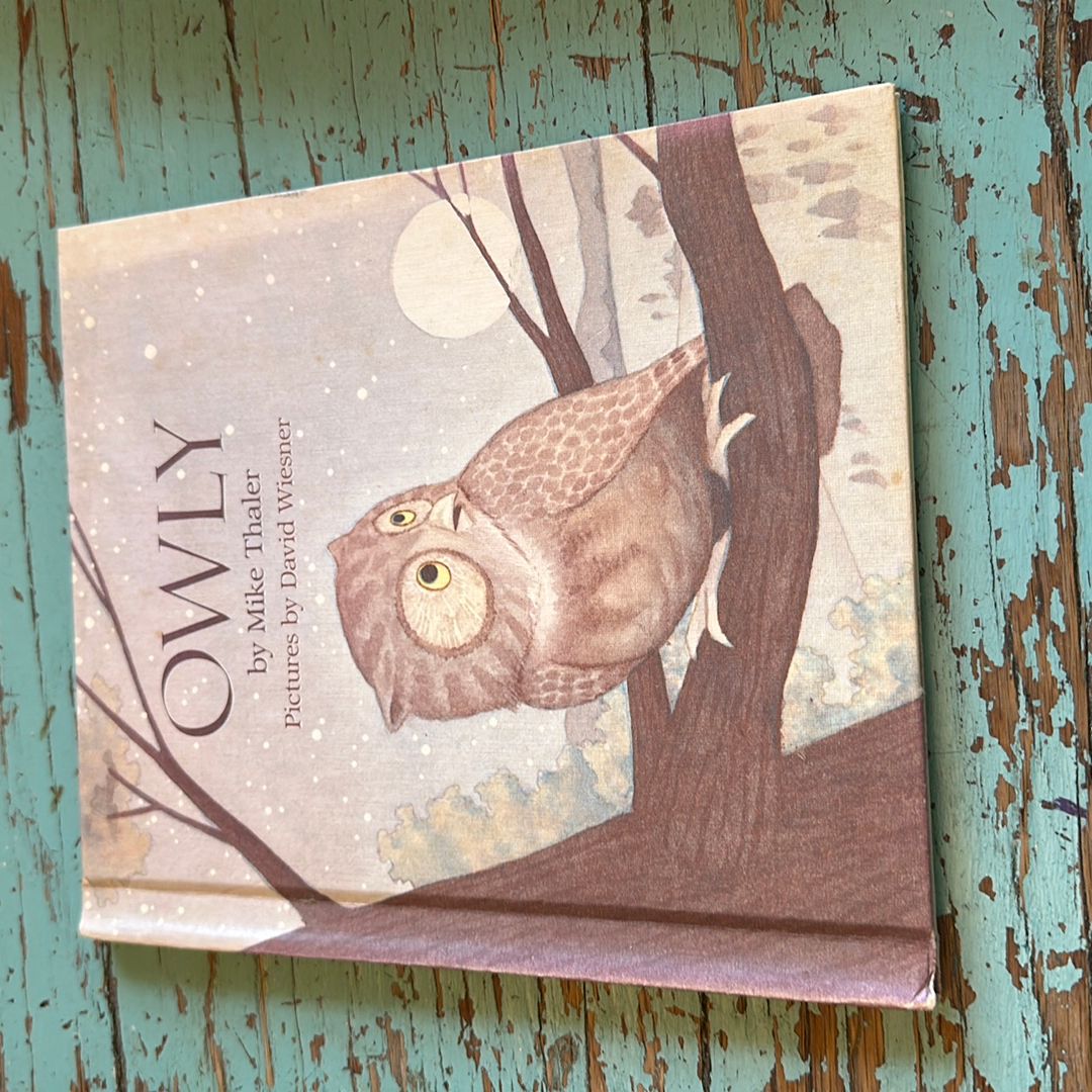 Owly