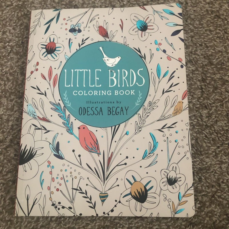 Little Birds Colouring Book