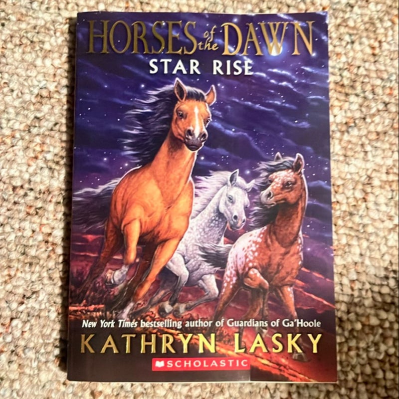Horses of the Dawn Star Rise