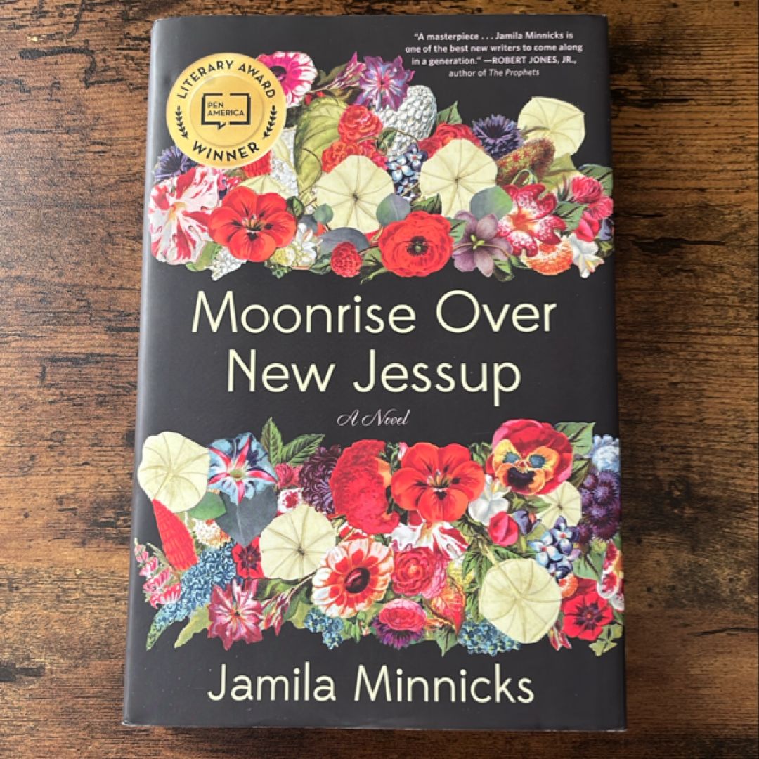 Moonrise over New Jessup