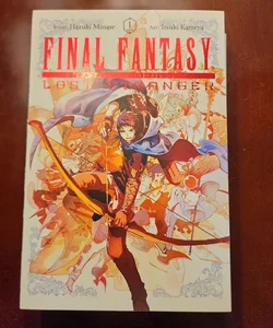 Final Fantasy Lost Stranger, Vol. 1