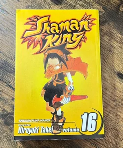 Shaman King, Vol. 16