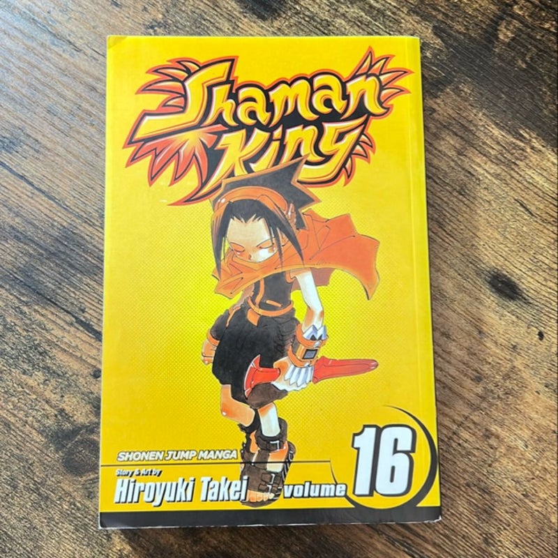 Shaman King, Vol. 16