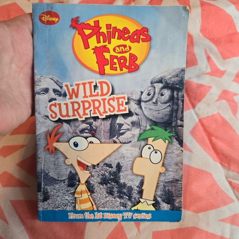 Phineas and Ferb Wild Surprise