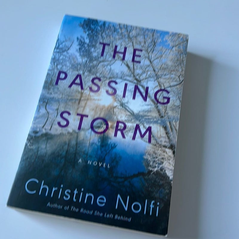 The Passing Storm