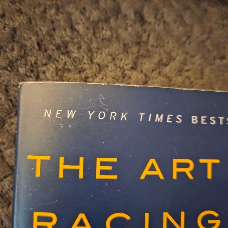 The Art of Racing in the Rain