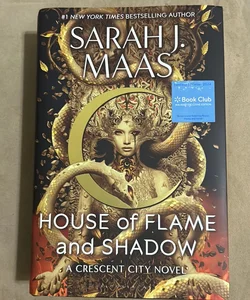 House of flame and shadow 