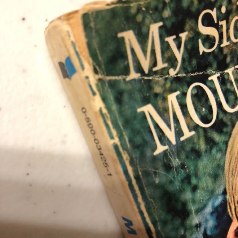 My Side of the Mountain by Jean George - Classic Children's Literature