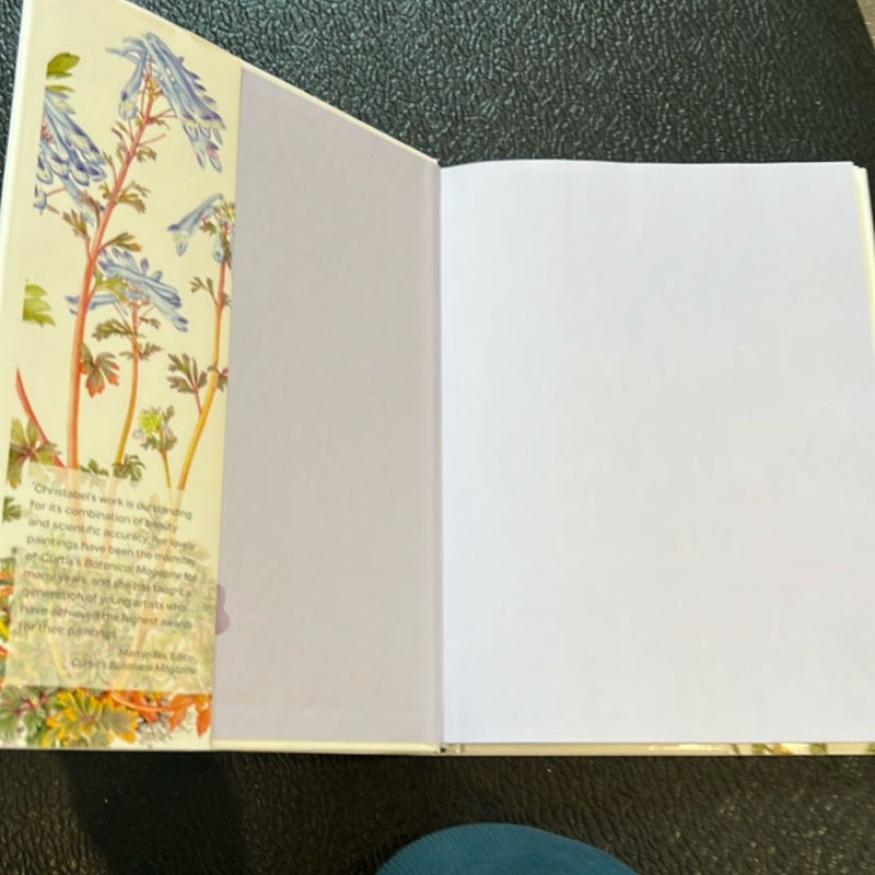 Kew Book of Botanical Illustration