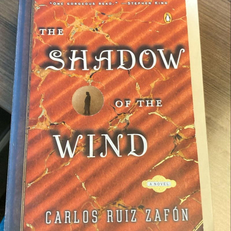 The Shadow of the Wind