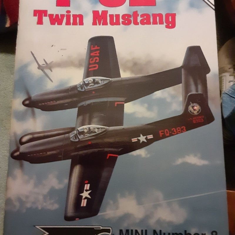 The F-82 Twin Mustang Mini in Action