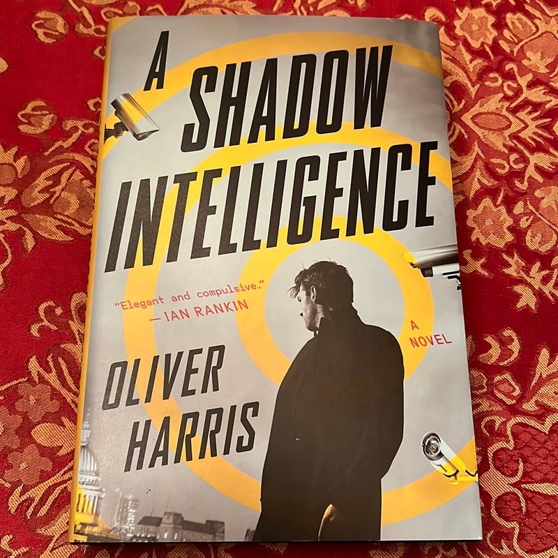 A Shadow Intelligence