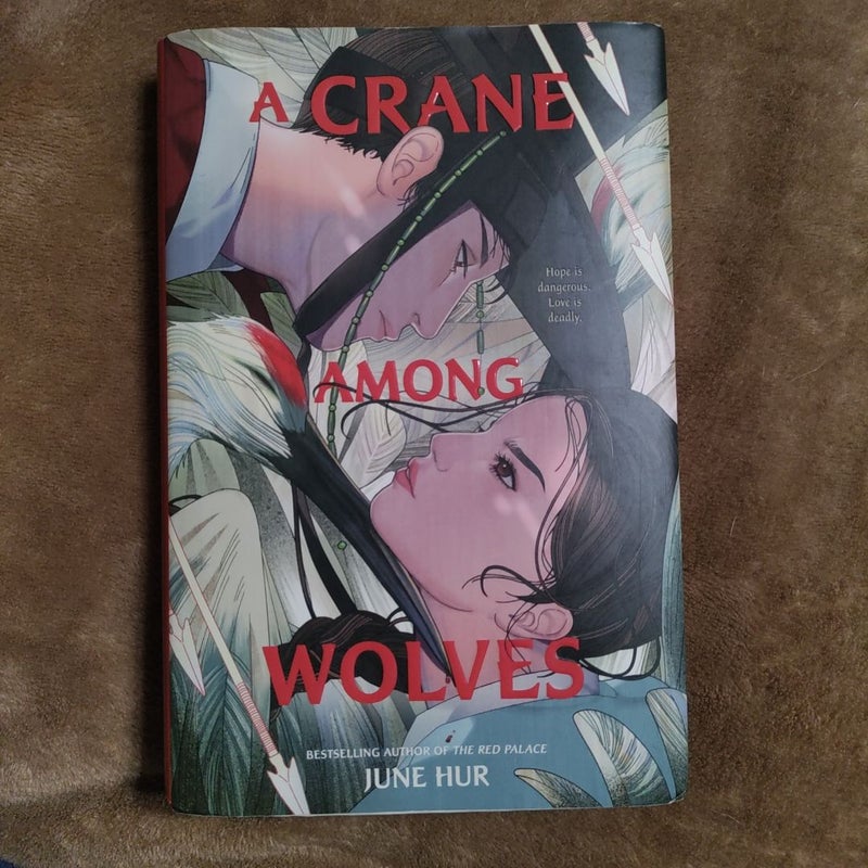 A Crane among Wolves