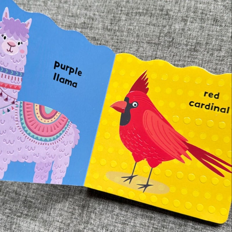 Colors Stripes and Spots (board book)