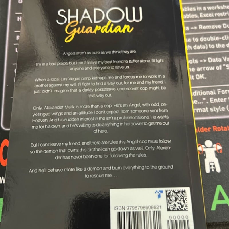 Golden Guardian / Shadow Guardian / Silver Guardian 