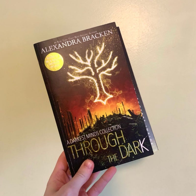 Through the Dark (Bonus Content) (a Darkest Minds Collection)