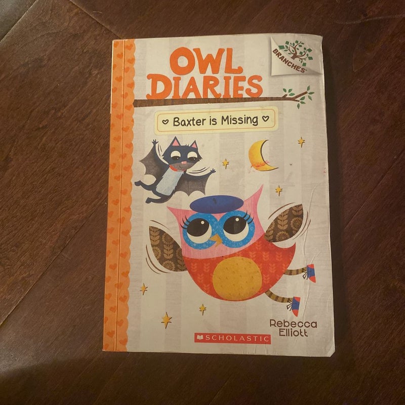 Baxter Is Missing - A Branches Book