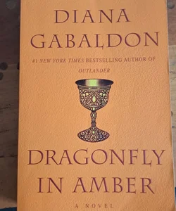 Dragonfly in Amber