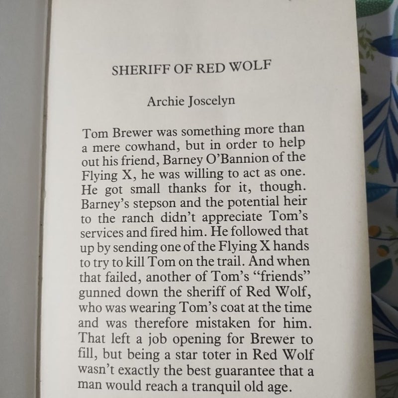 Sheriff of Red Wolf