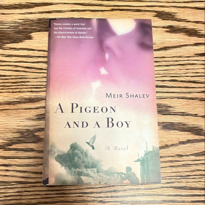 A Pigeon and a Boy