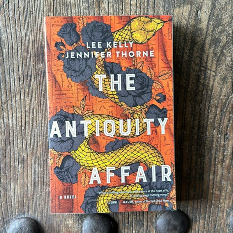 The Antiquity Affair