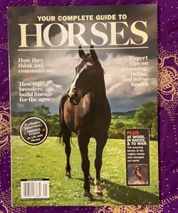 Your Complete Guide to Horses