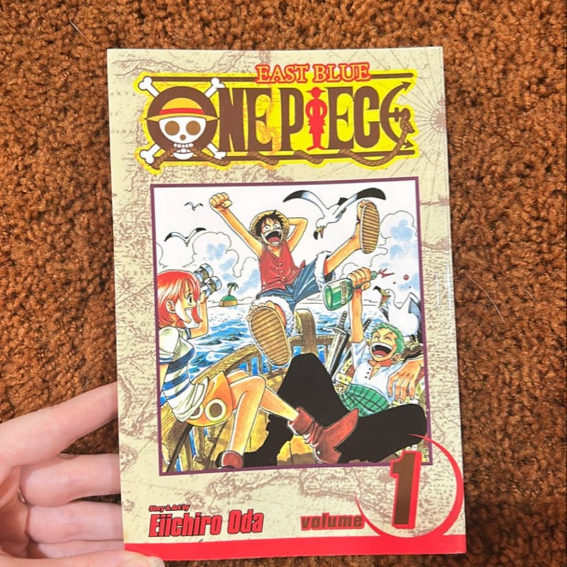 One Piece, Vol. 1