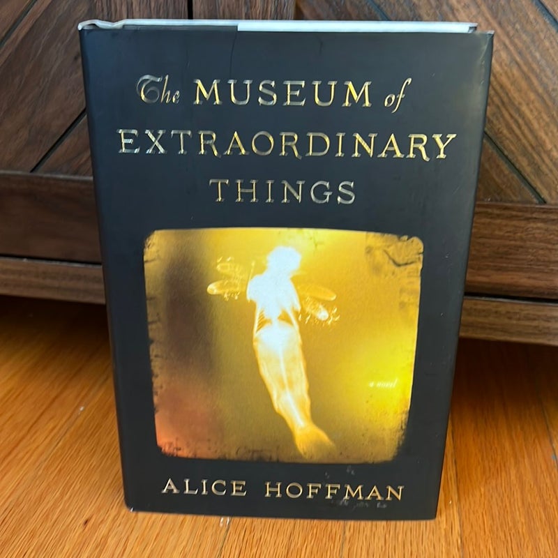 The Museum of Extraordinary Things