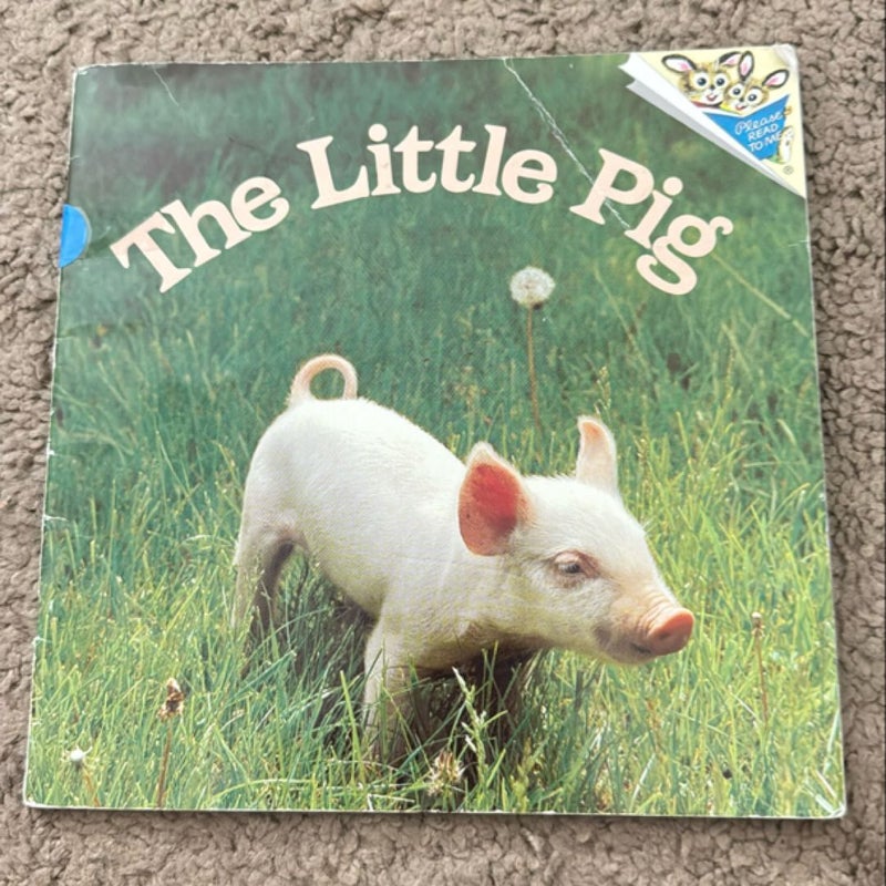 The Little Pig