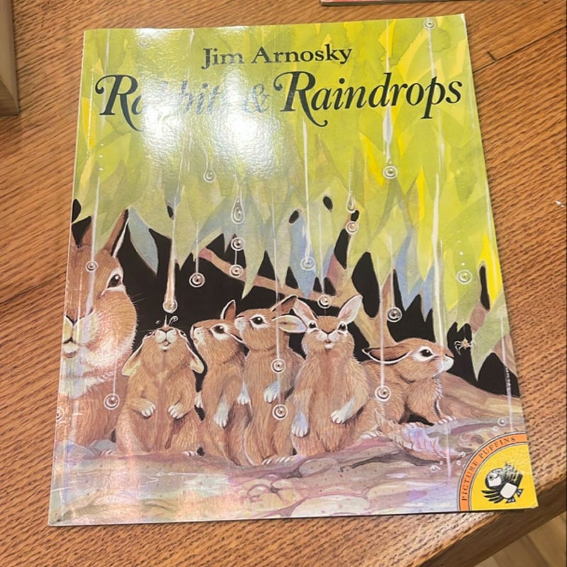 Rabbits and Raindrops (Signed)