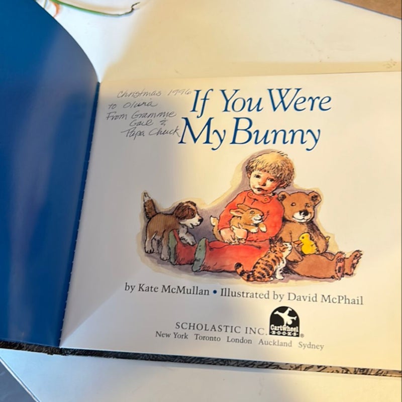 If You Were My Bunny 