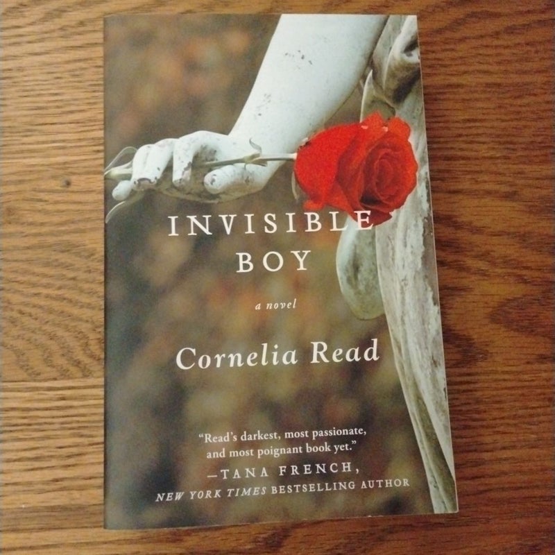 Invisible Boy
