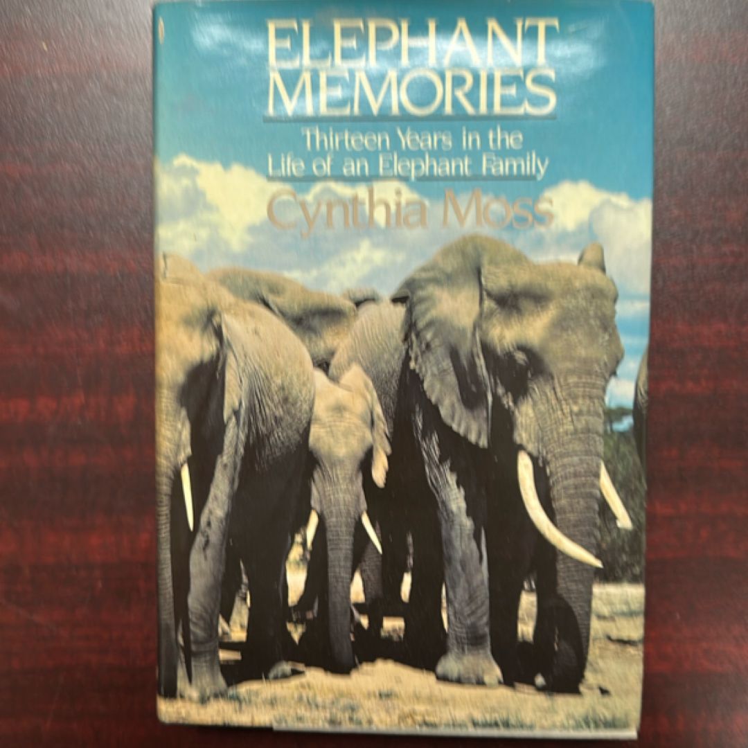 Elephant memories